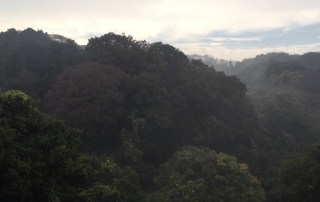 風来荘,沖縄,今帰仁